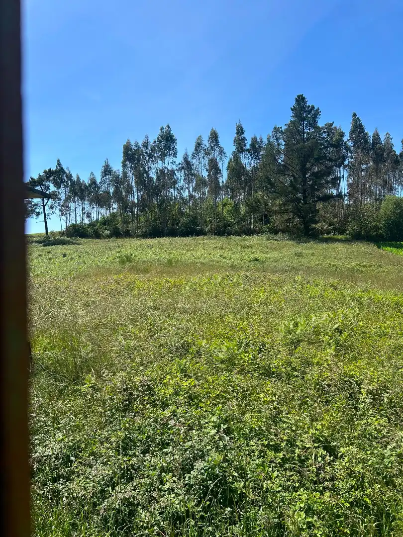 Casa o chalet en venta en Trazo