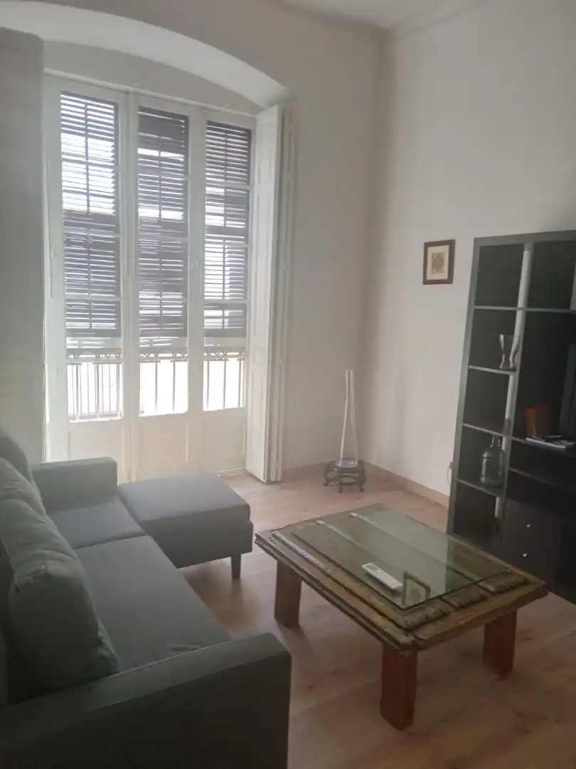 Sala de estar de Piso de alquiler en Málaga con Aire acondicionado y Amueblado