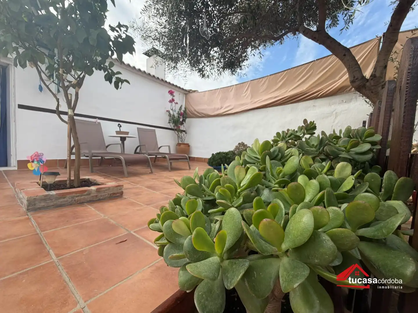 Haus mit Pool zum Verkauf in La Carlota, imagen 27