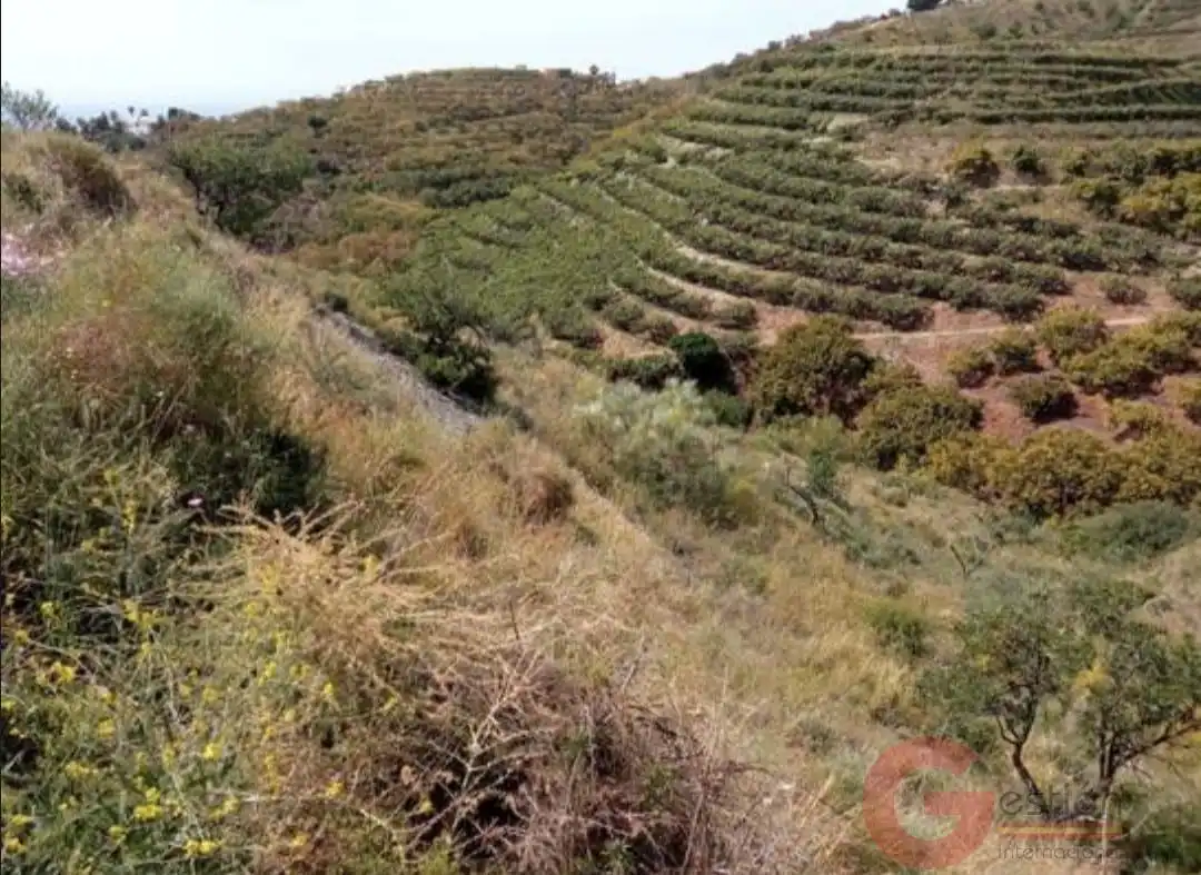 Terrenys i solars en venda a Monte los Almendros - El Pargo - Costa Aguilera, imagen 5