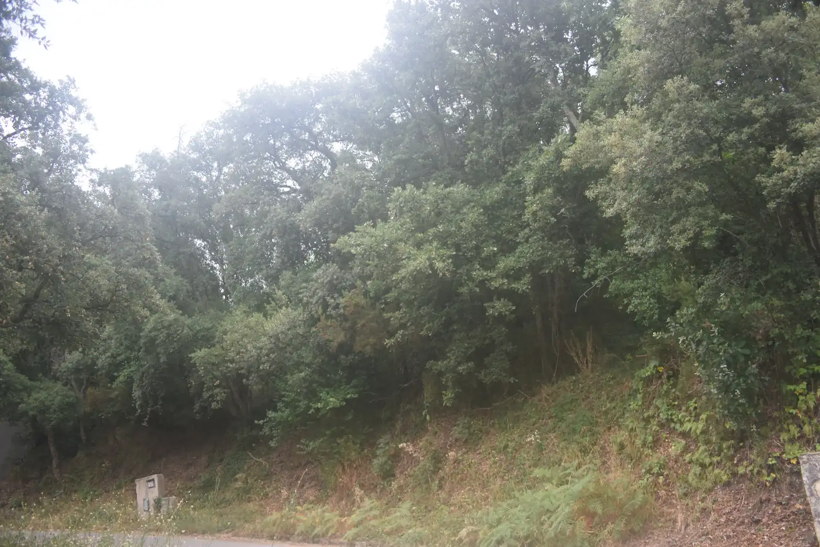Residential for sale in Arbúcies