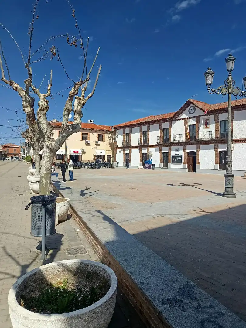 Chalet en venta en Calle Sevilla