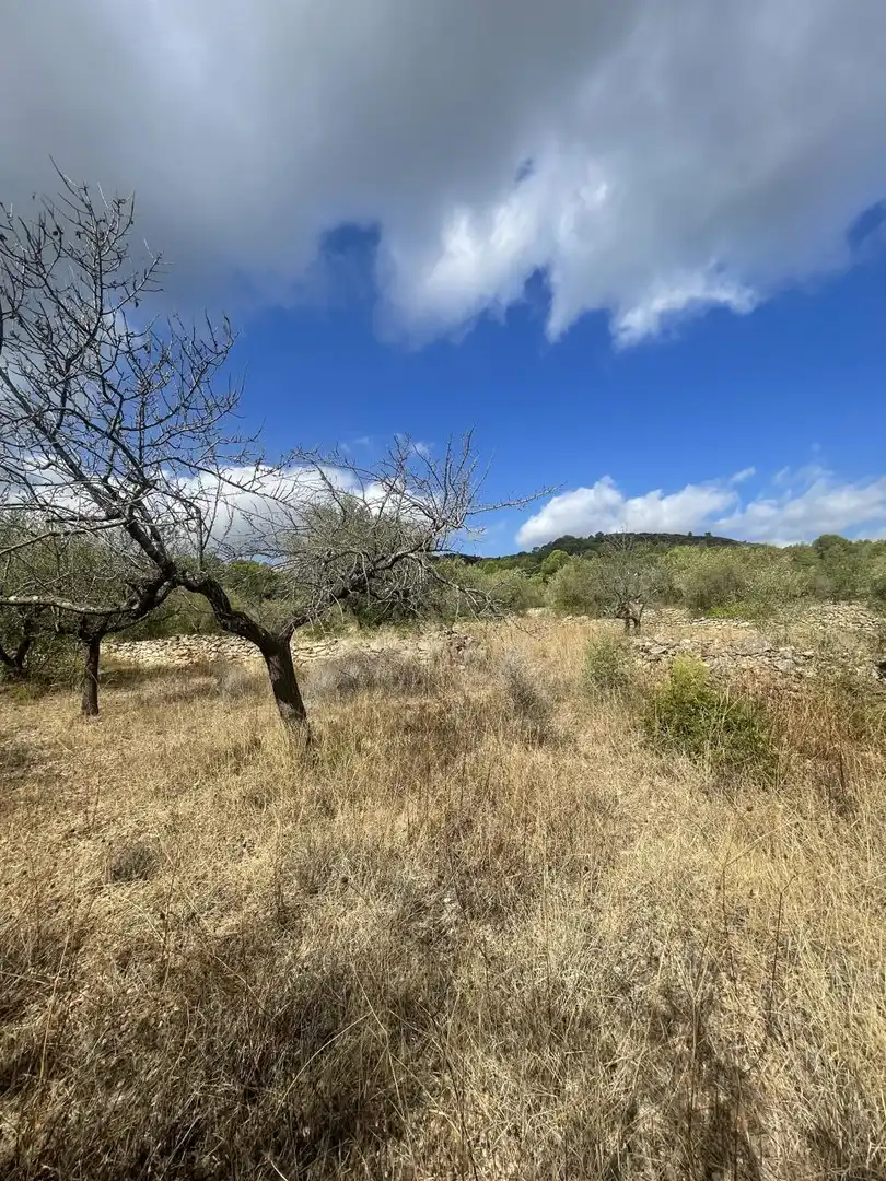 Terreno rústico en venta en L'Ametlla de Mar pueblo, imagen 7