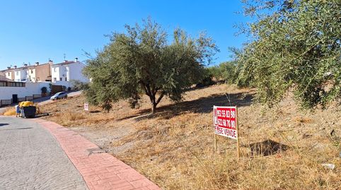 IMF GESTIÓN DE INMUEBLES vende parcelas urbanas en Viñuela, imatge 3