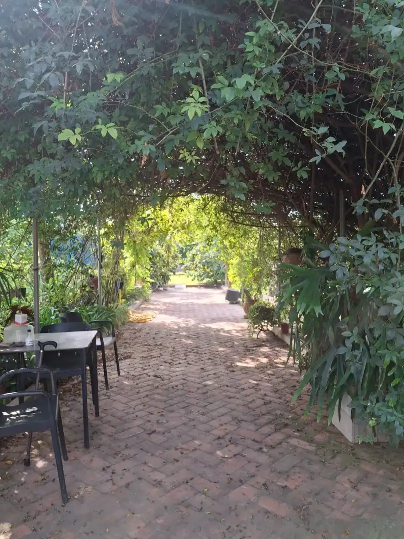 Jardín de Finca rústica en venta en Burriana / Borriana con Jardín privado, Terraza y Alarma