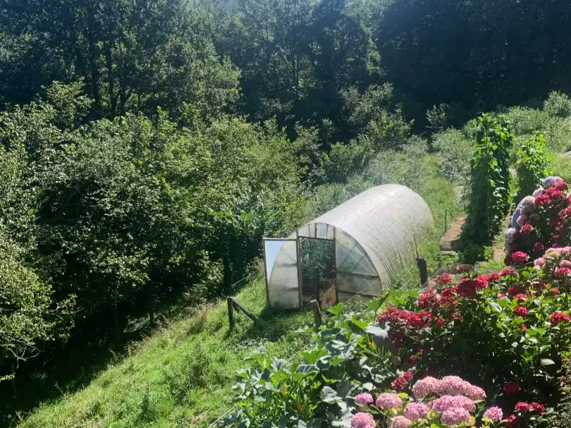 Garden of Land for sale in Vega de Pas