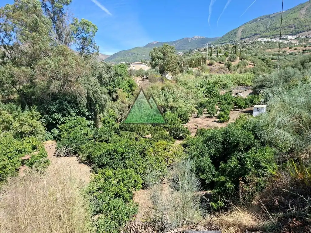Country house for sale in Alcaucín, imagen 20