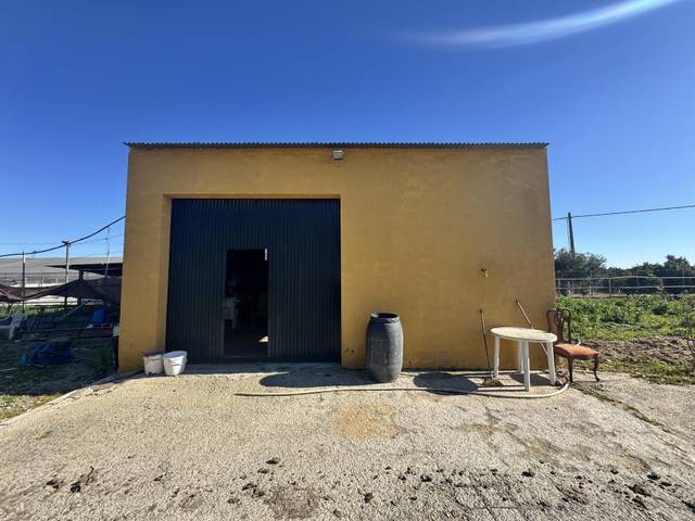 Terreno en Venta en Los Palacios y Villafranca