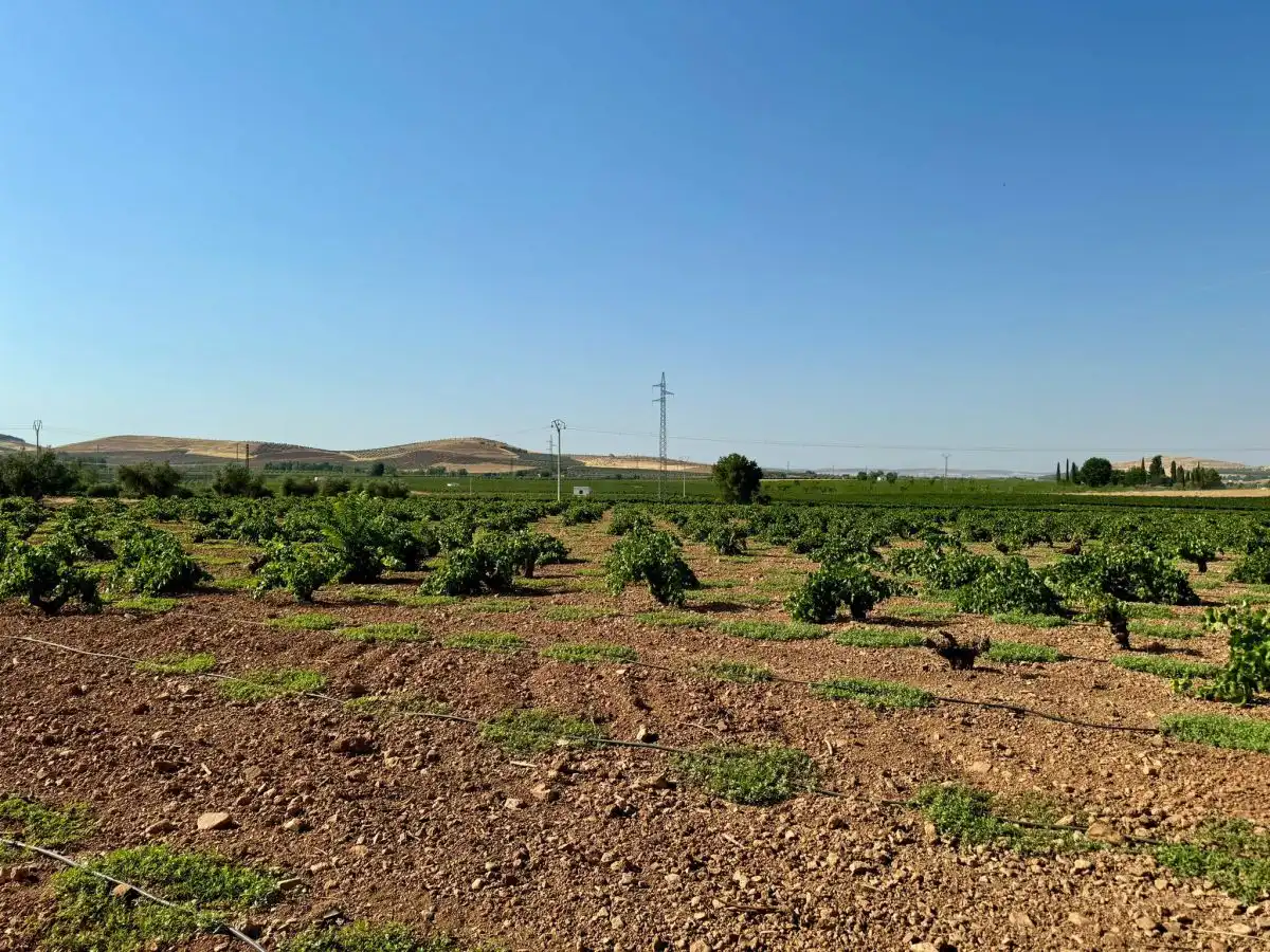 Casa rústica en venda a Valdepeñas, imagen 25