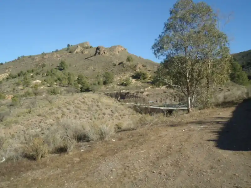 Terreny rústic en venda a Paraje Albozador, imagen 12