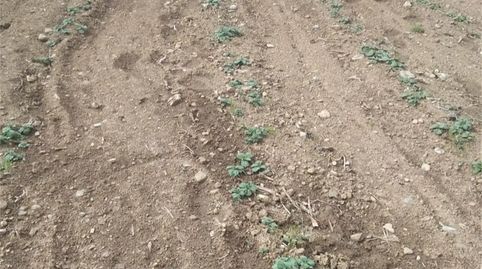 Foto 5 de Finca rústica en venda a Fafiás, 10, Vila de Cruces, Pontevedra