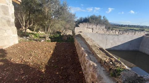 Foto 3 de Finca rústica en venta en  Polígono Diez, Manacor Centre, Manacor