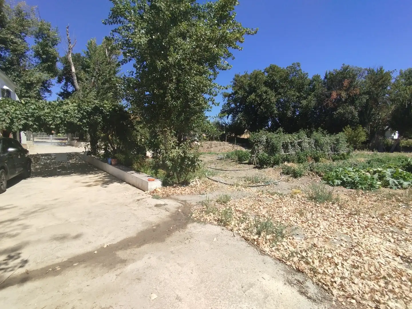 Finca rústica en venta en Cabra con Jardín privado