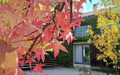 Jardí de Casa o xalet en venda en Valdearenas amb Aire condicionat, Terrassa i Moblat