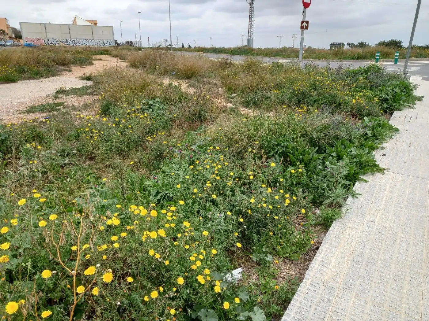 Wohnbaugrundstück zum Verkauf in Cartagena ciudad, imagen 15