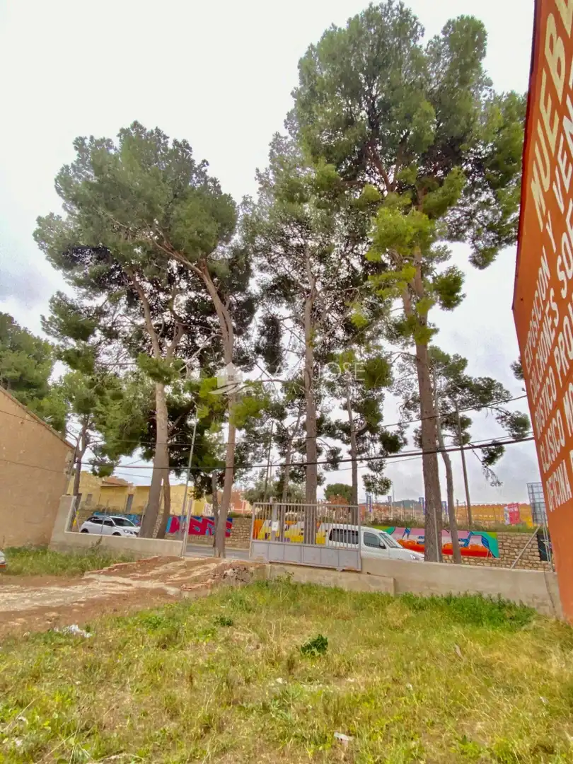 Terreno industriale in vendita a Aspe Centro, imagen 9