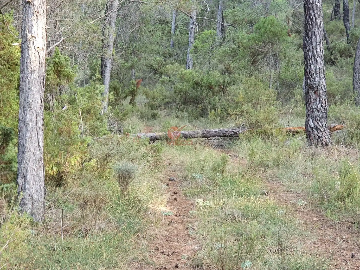 Terreni e lotti in vendita a JABAGA, CTRA. MADRID,, imagen 13