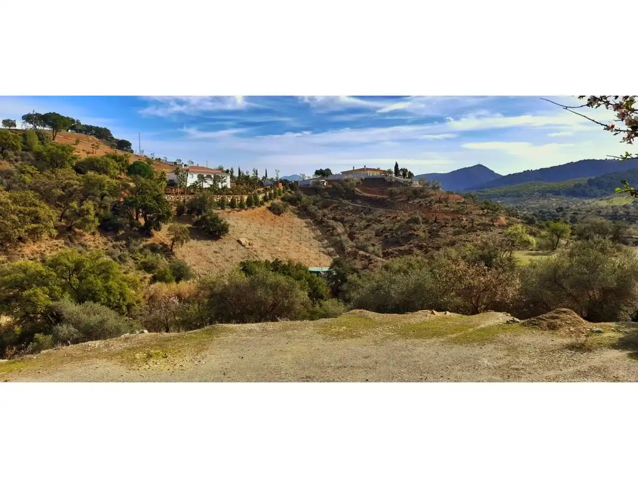 Terreno residenziale in vendita a Calle Partida Rosuelas 83, imagen 5