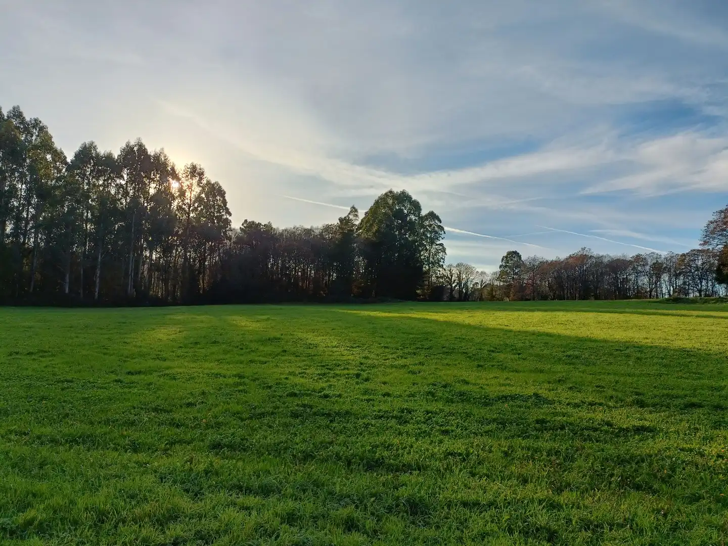 Casa o xalet en venda en Guitiriz amb Jardí privat i Traster