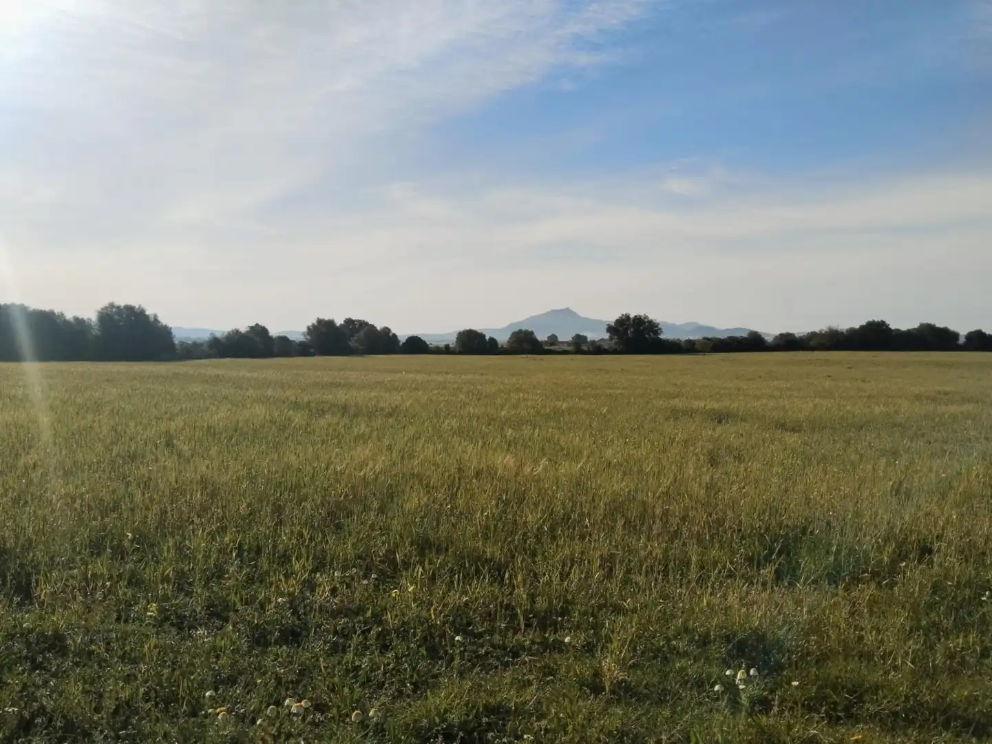 Rural land for sale in Felanitx Poble