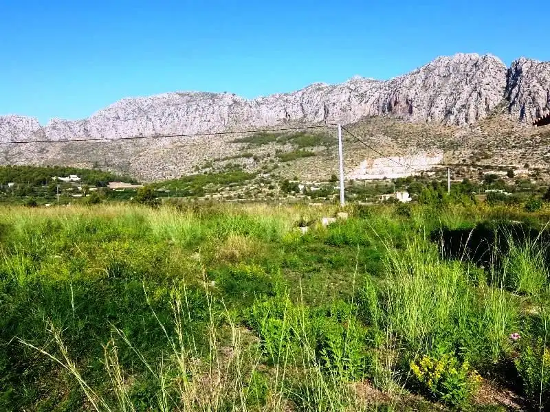 Terreny rústic en venda a Ondara, imagen 12