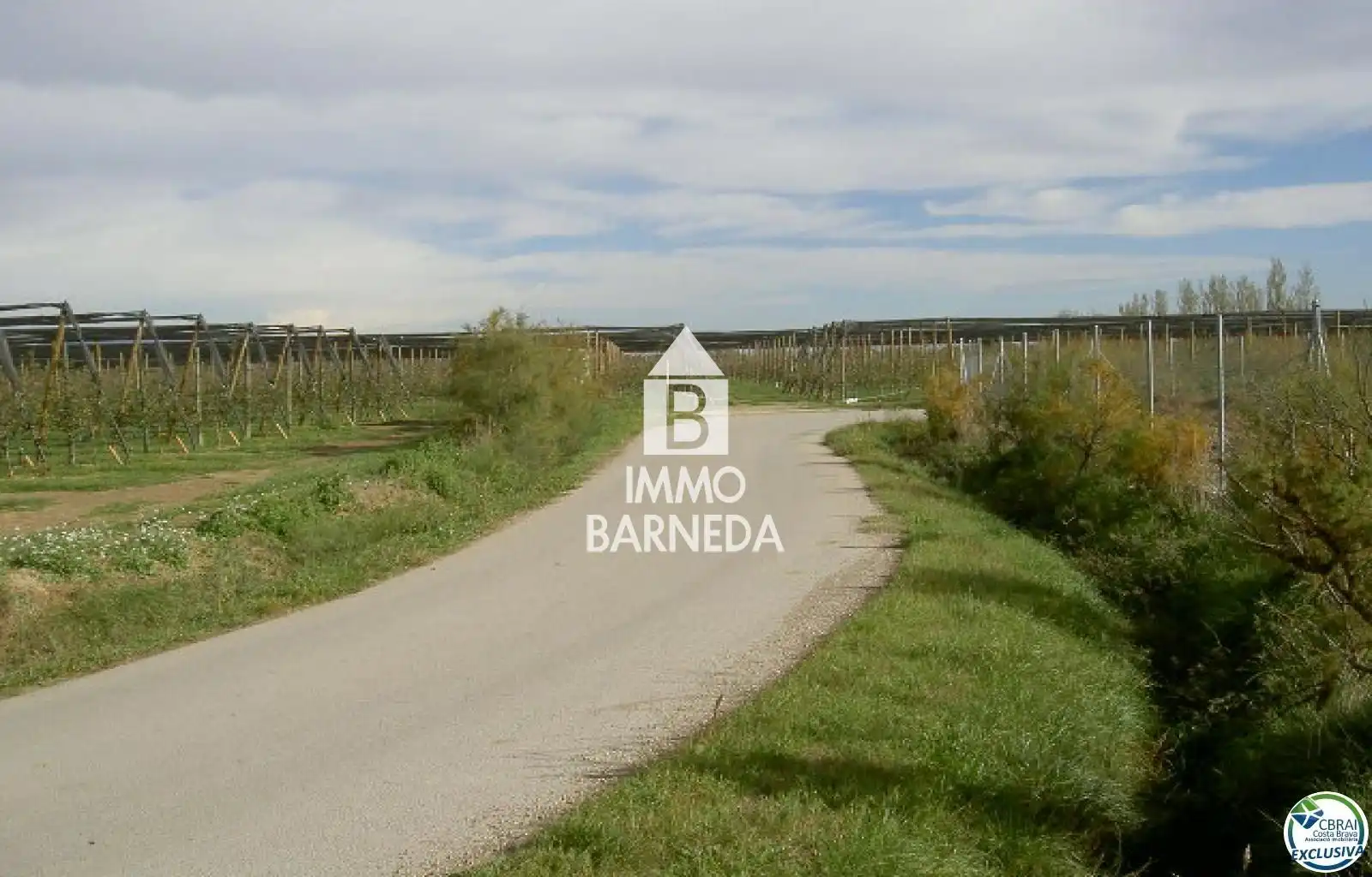 Rural land for sale in N/A, imagen 17