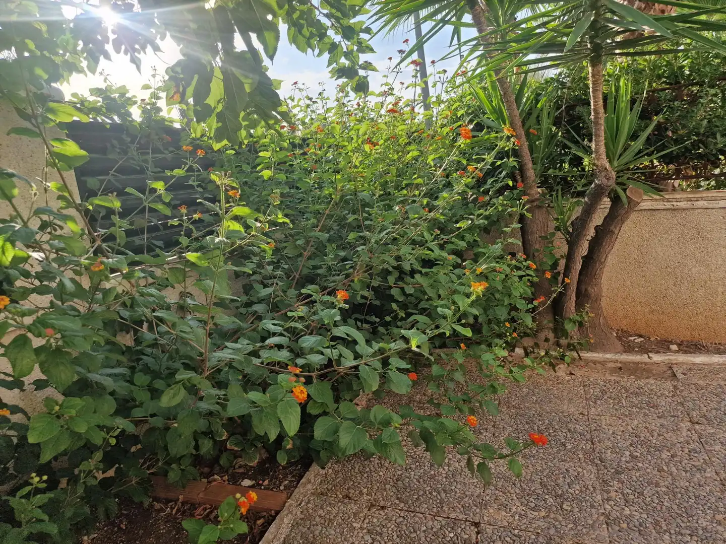 Apartament amb piscina en venda a Avenida LA MARINA, imagen 25