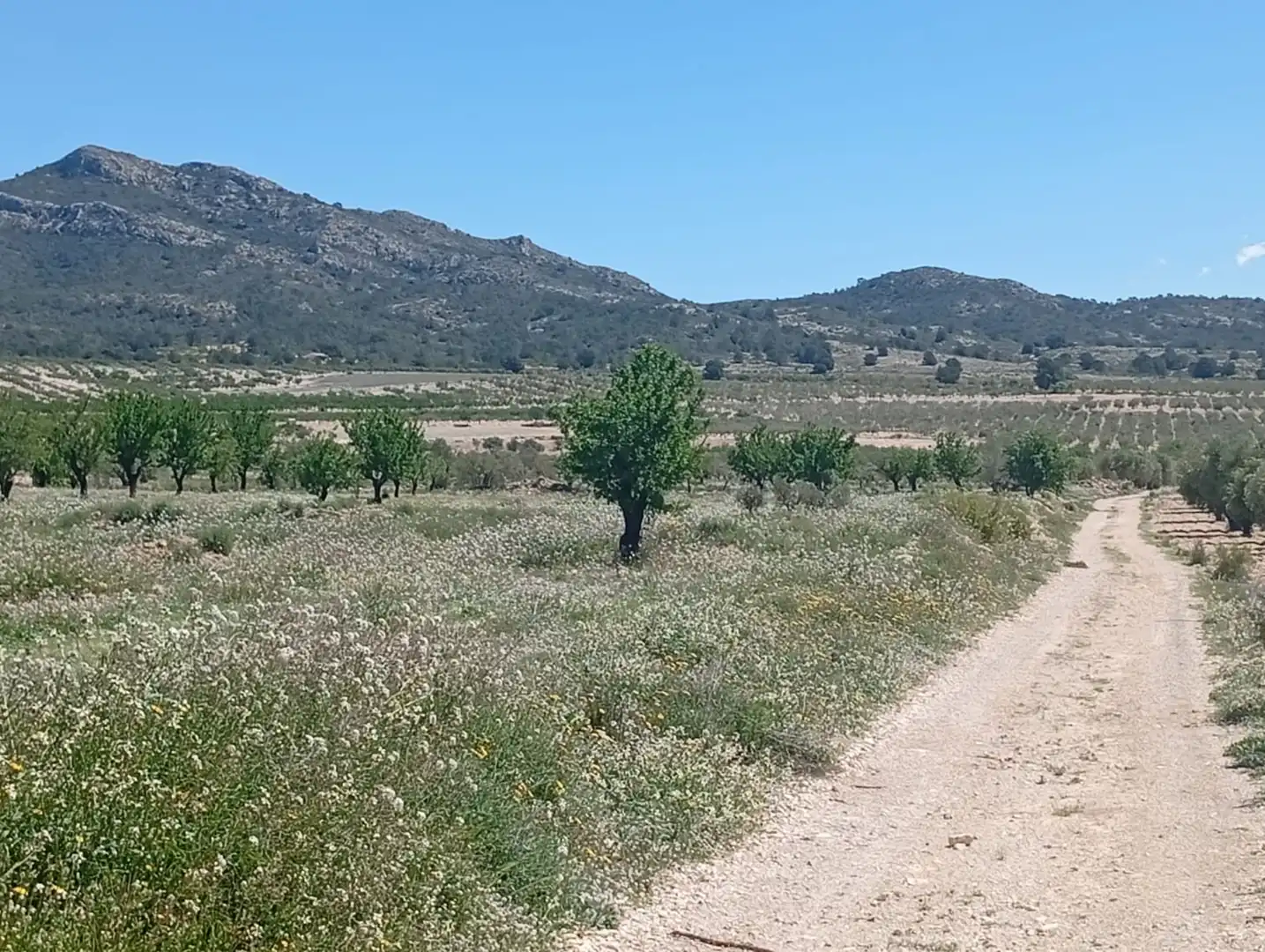 Residential land for sale in Salinas, imagen 3