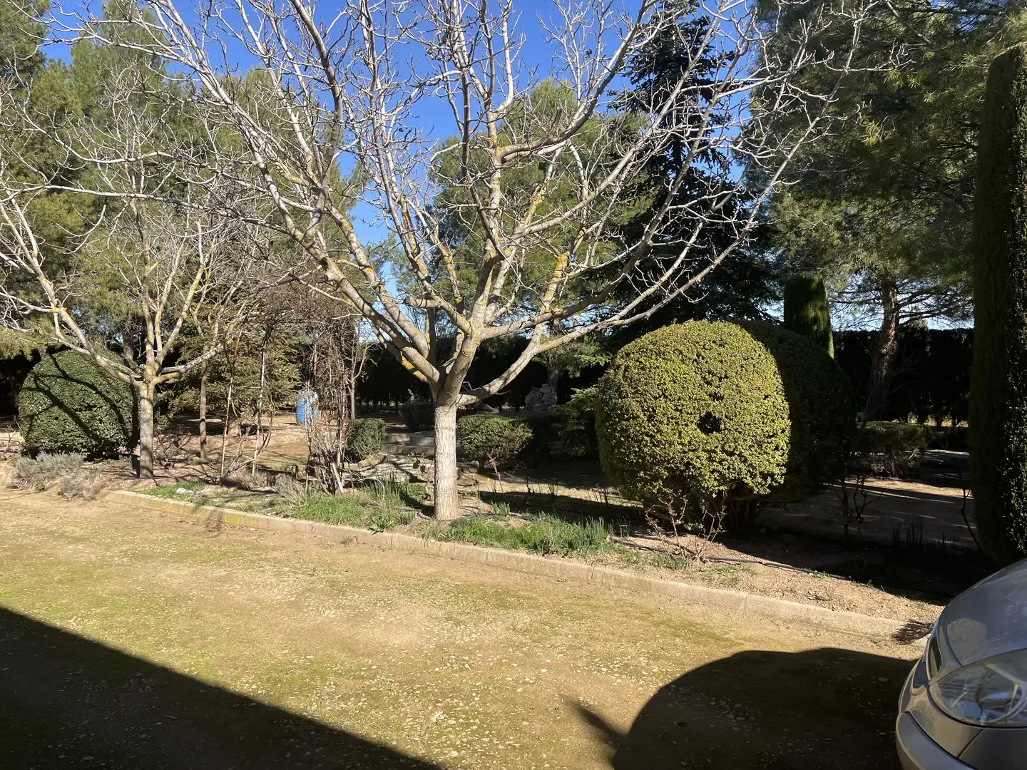Chalet con jardín en venta en Argamasilla de Alba, imagen 9