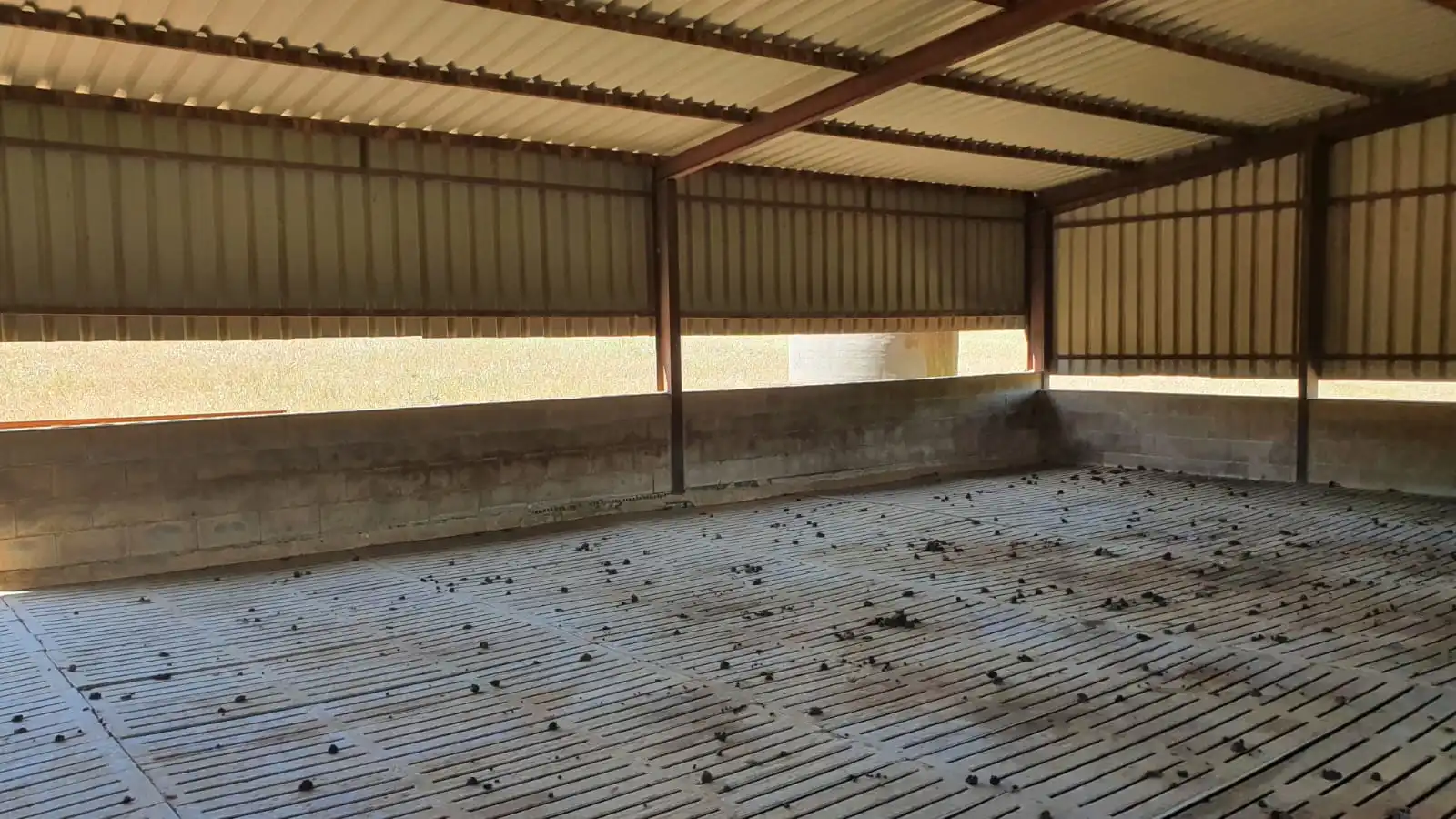 Vista exterior de Nave industrial en venta en Salvaleón