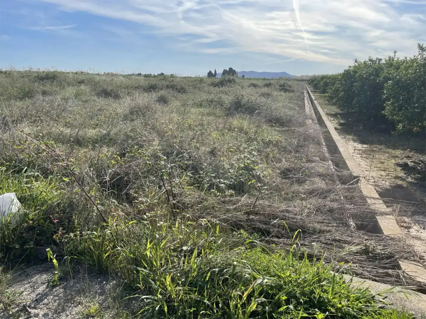 Finca rústica en venta en Polinyà de Xúquer
