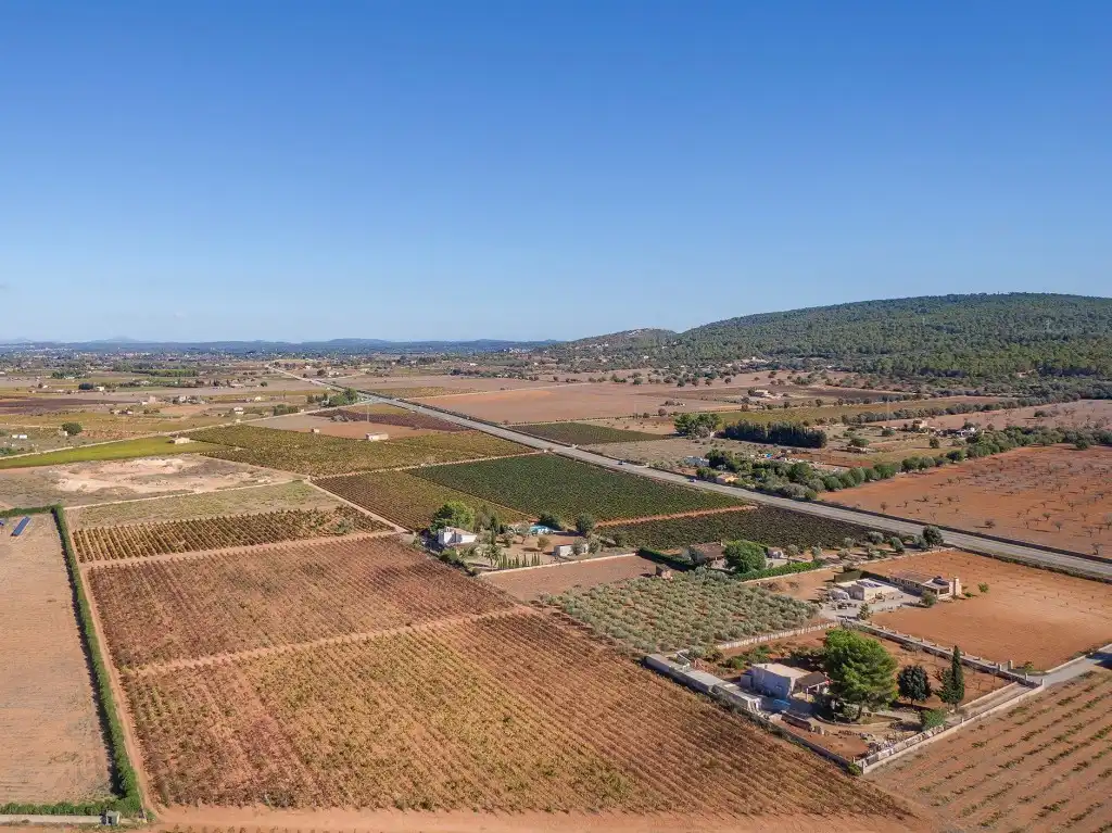 Terreny rústic en venda a Santa María del Camí