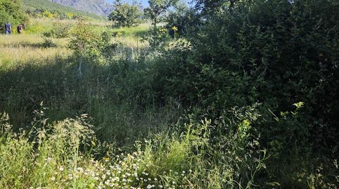 Preciosa finca rustica toda cercada con mucho terreno llano en dos bancales toda exterior a la carretera, immagine 5