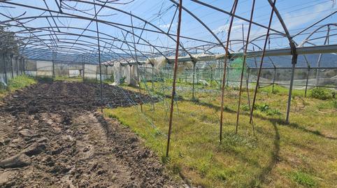 Foto 4 de Finca rústica en venta en N/a, -1, Viveiro, Lugo