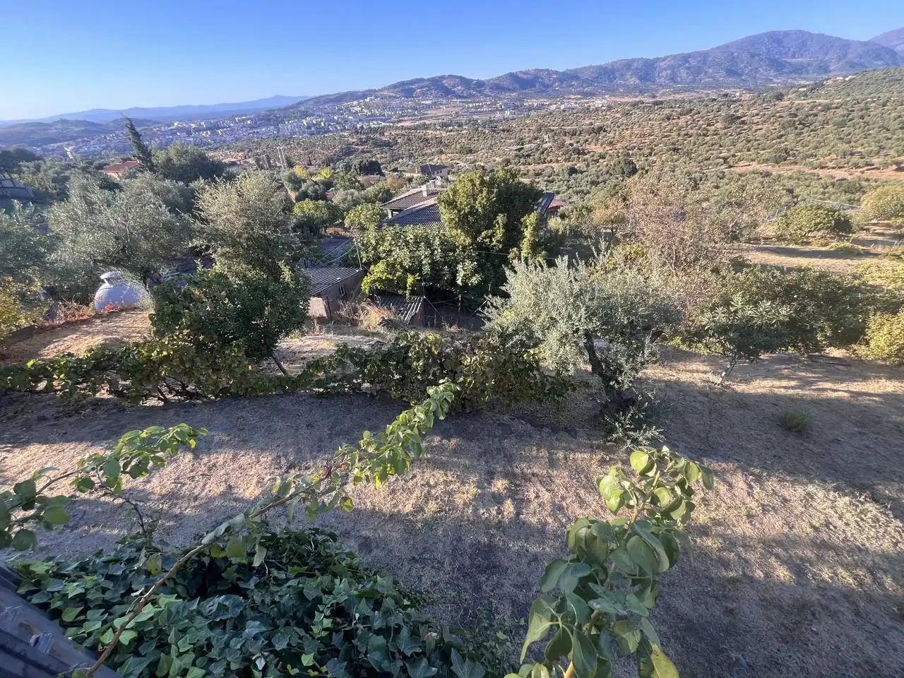 Houses for sale in Zona Sur - Av. de España - San Miguel