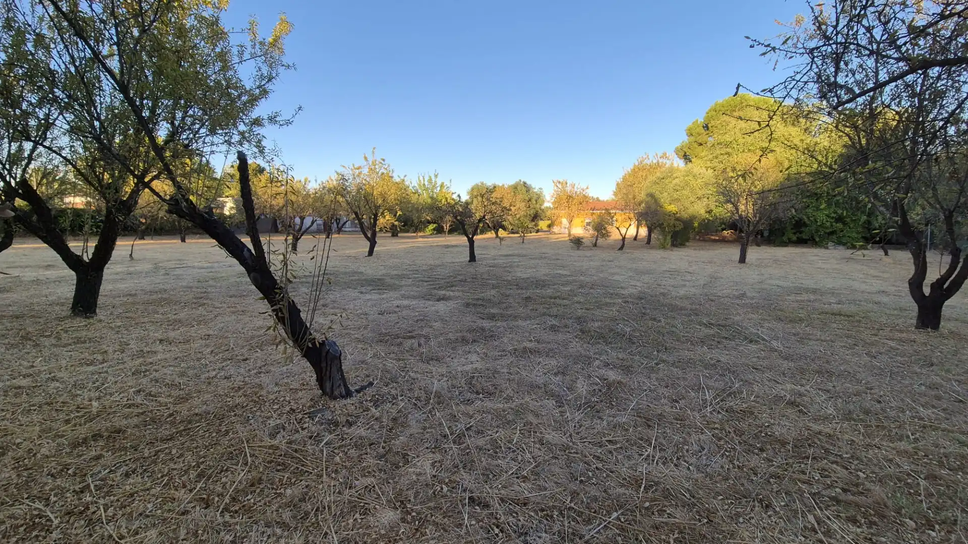Xalet amb jardí en venda a Dehesilla Calamón, imagen 30