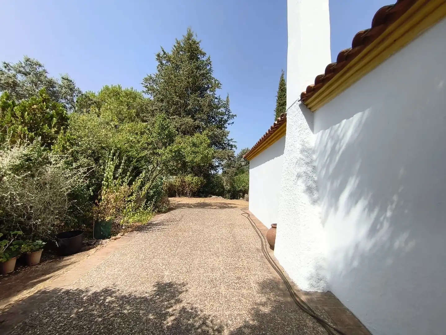 Casa rústica amb jardí en venda a Cazalla de la Sierra, imagen 19