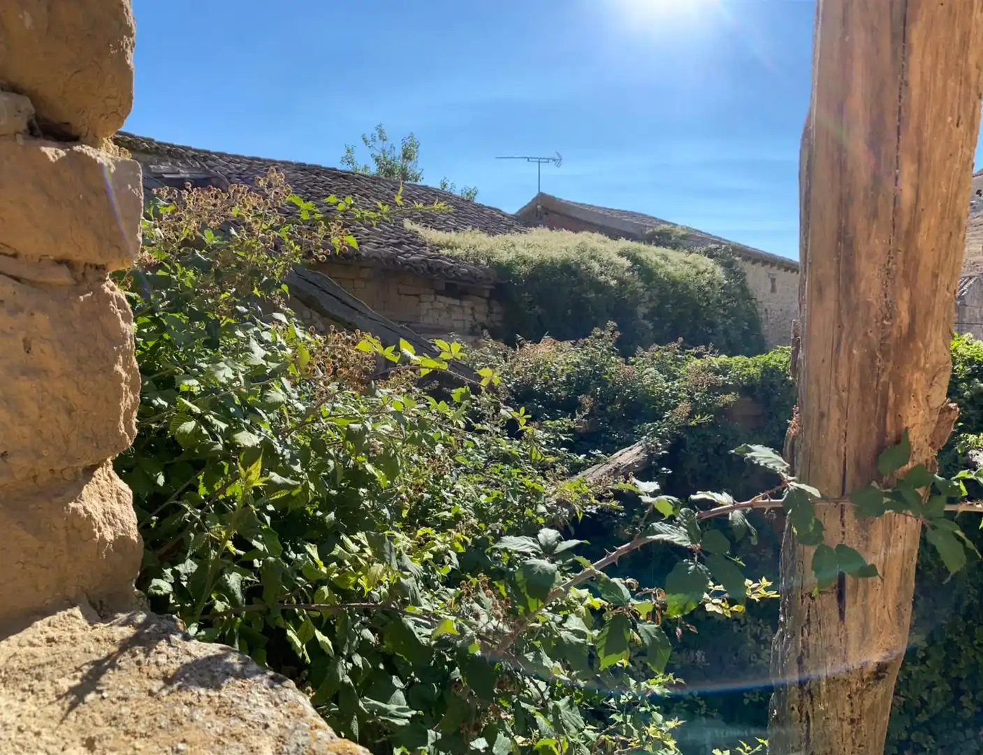 Jardín de Casa o chalet en venta en Trigueros del Valle