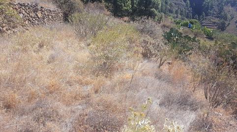 Foto 4 de Terreno en venta en Igueste de Candelaria, Candelaria