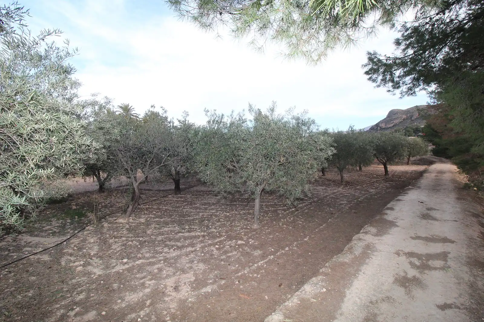 Casa amb terrassa en venda a Campo Alto - Club de Campo, imagen 17