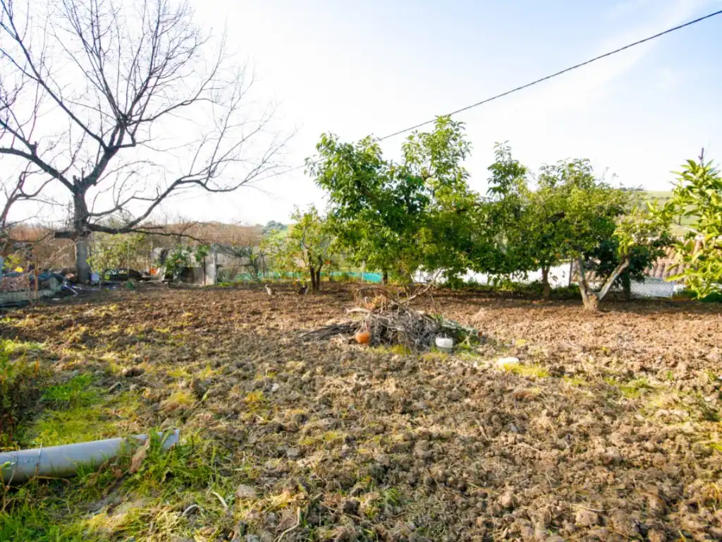 Country homes for sale in Coín