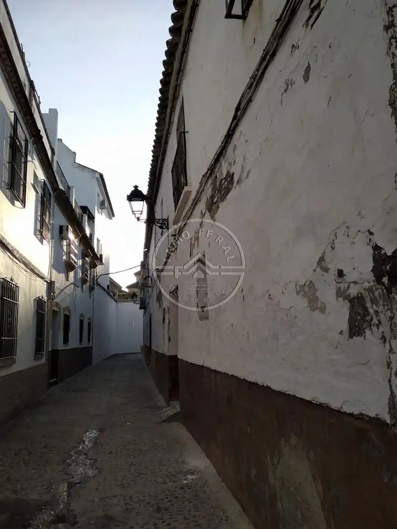 Vista exterior de Casa o xalet en venda en Écija amb Terrassa