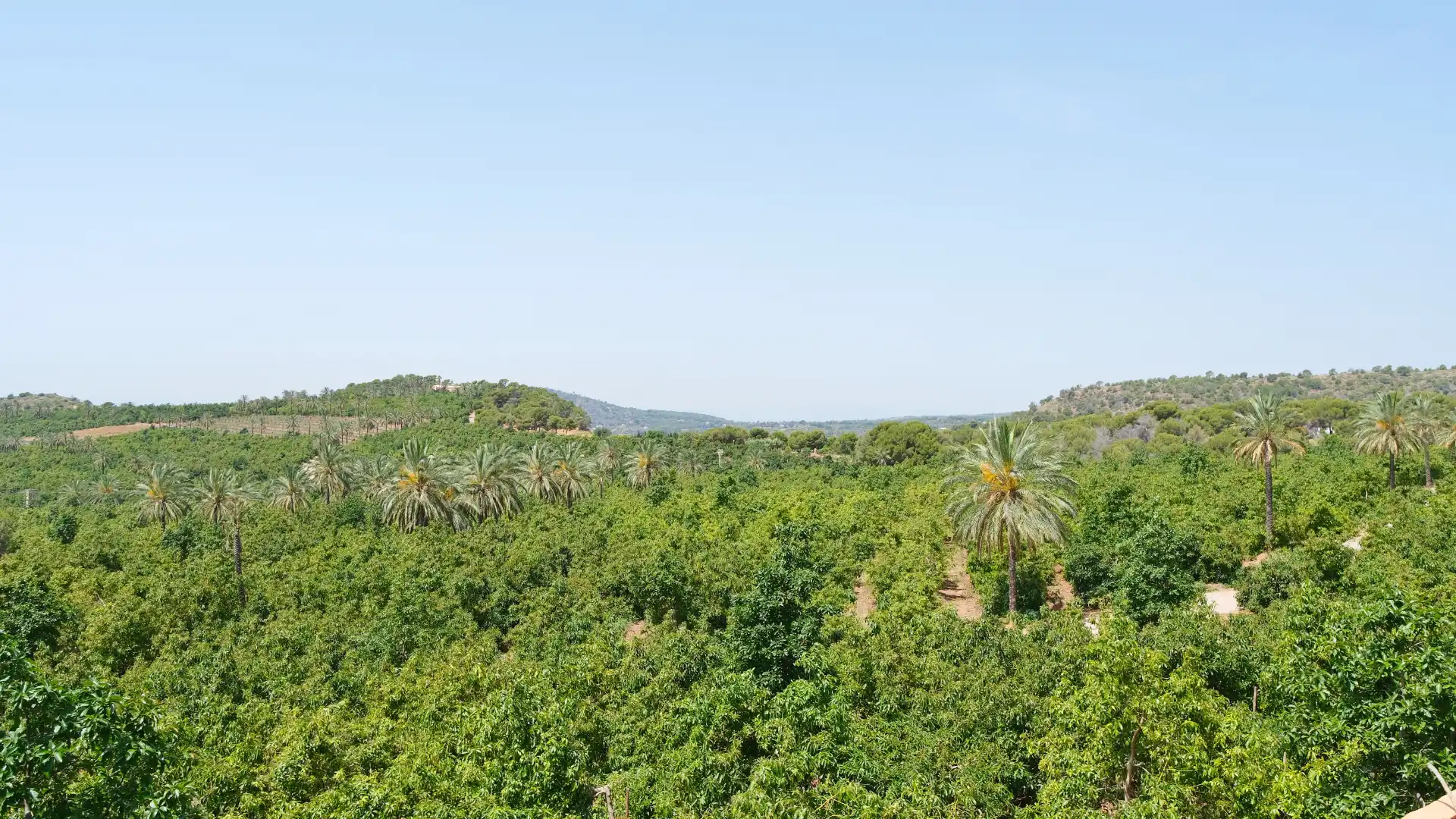 Casa o chalet de alquiler en Sagunto / Sagunt con Aire acondicionado, Calefacción y Jardín privado