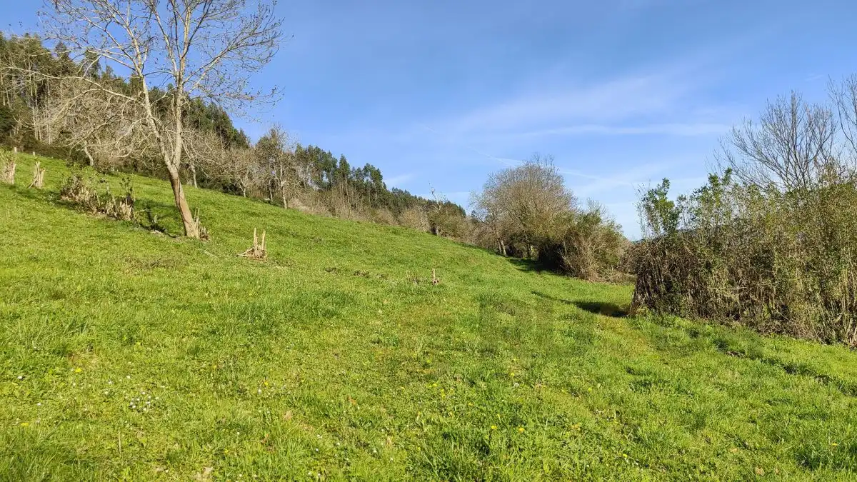 Terreni e lotti in vendita a Villegar, imagen 32