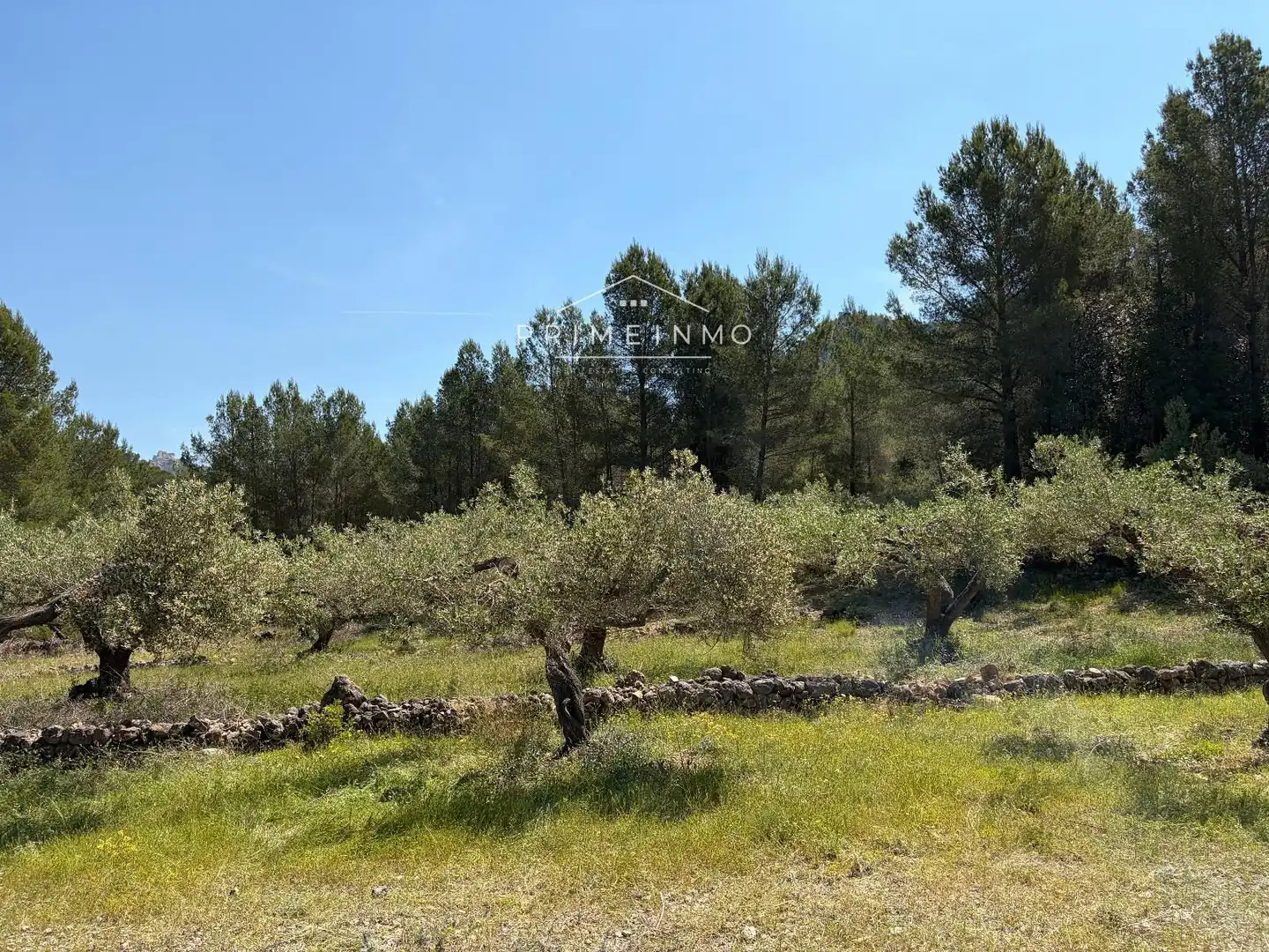 Terreno rústico en venta en L'Ametlla de Mar pueblo, imagen 21