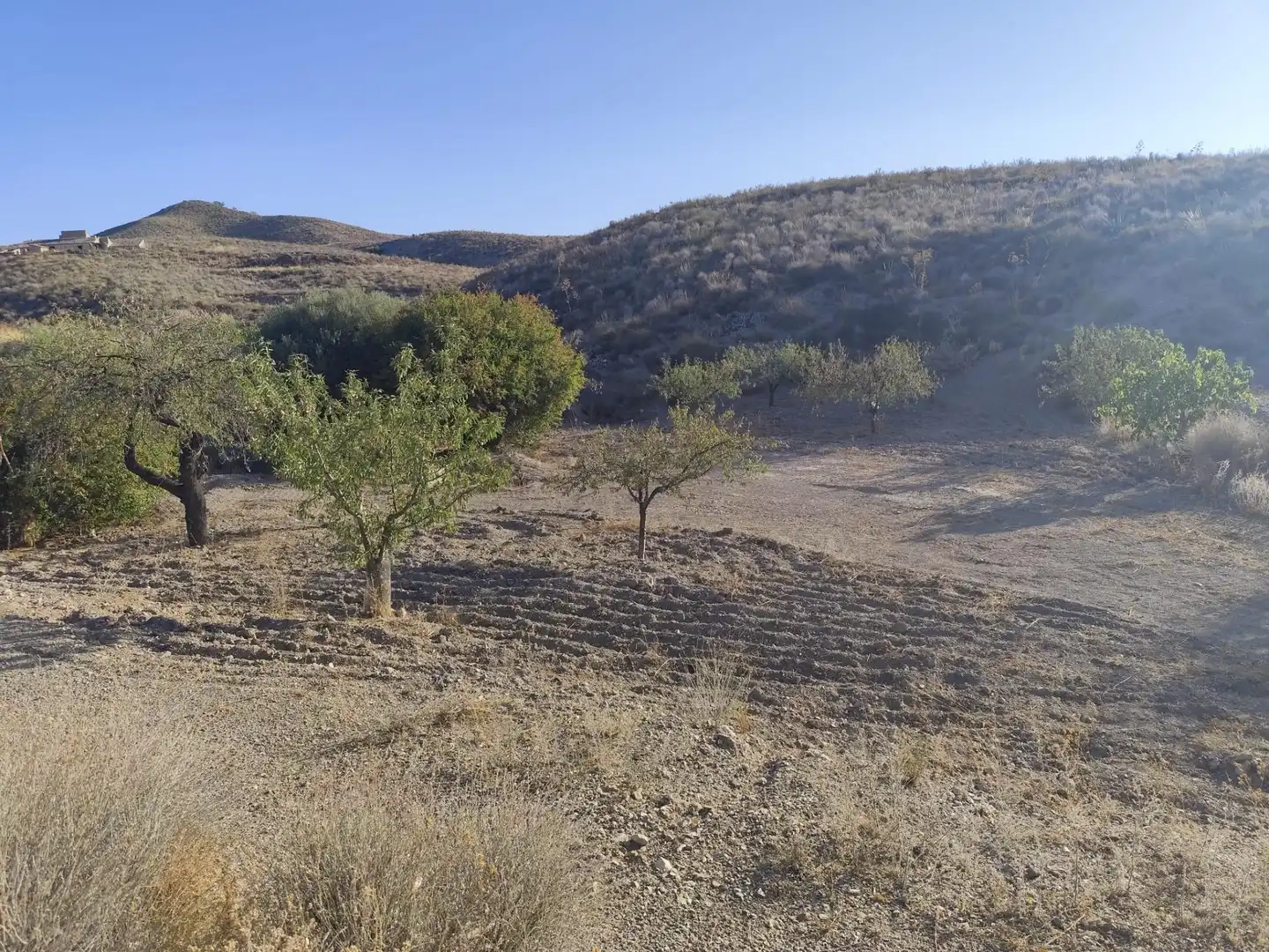 Terrains et parcelles à vendre à Pedanías Centro, imagen 10