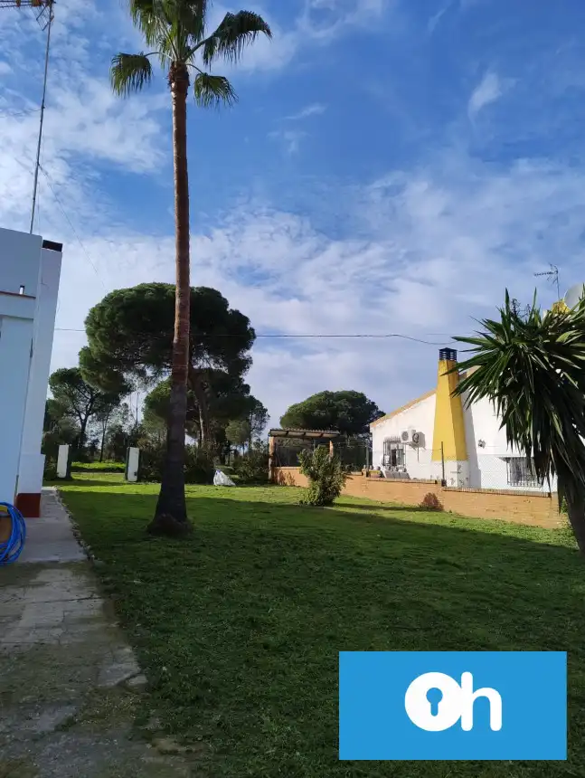 Jardín de Finca rústica en venta en Bonares