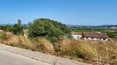 Photo 5 of House or chalet for sale in Carrer Montjuïc, Vilobí del Penedès, Barcelona