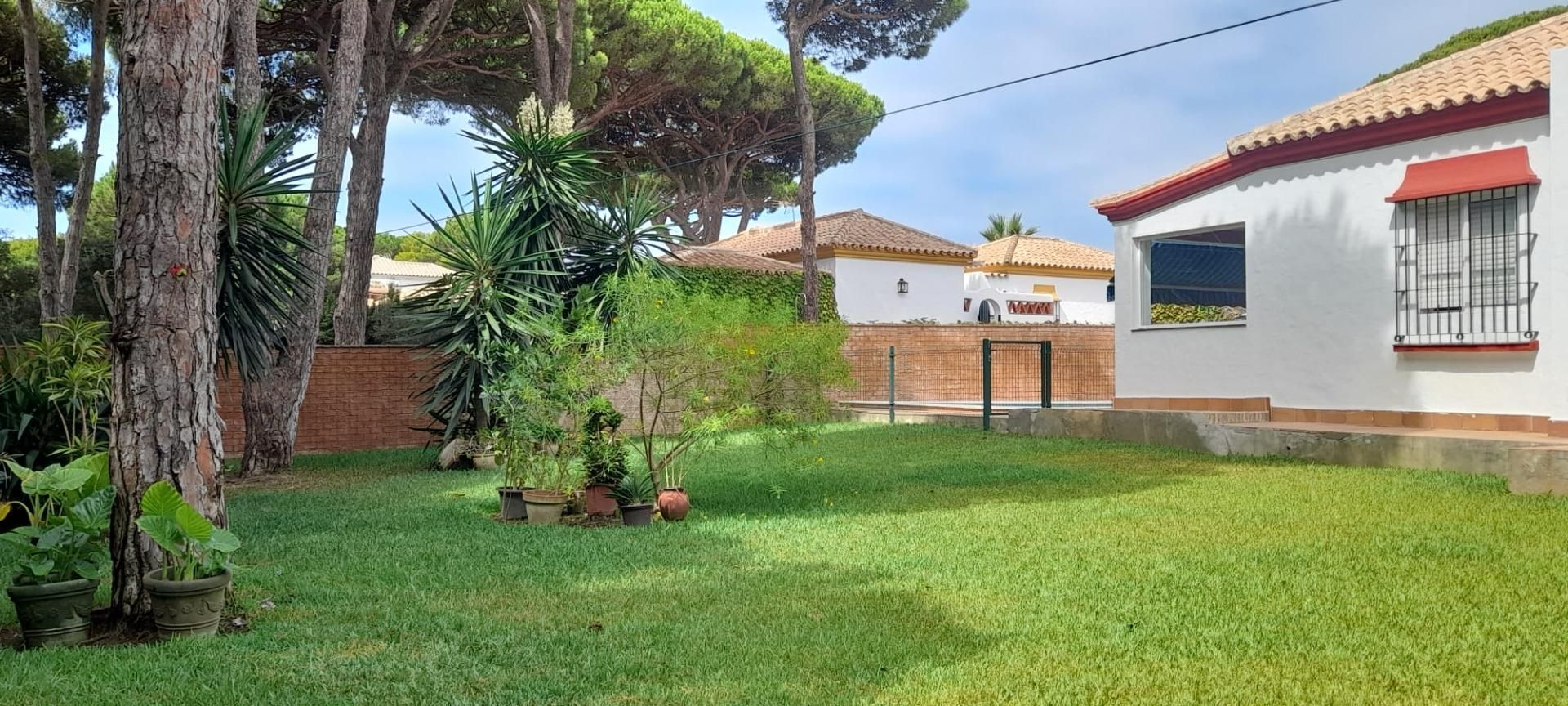 Jardí de Casa o xalet en venda en Conil de la Frontera amb Aire condicionat, Jardí privat i Traster