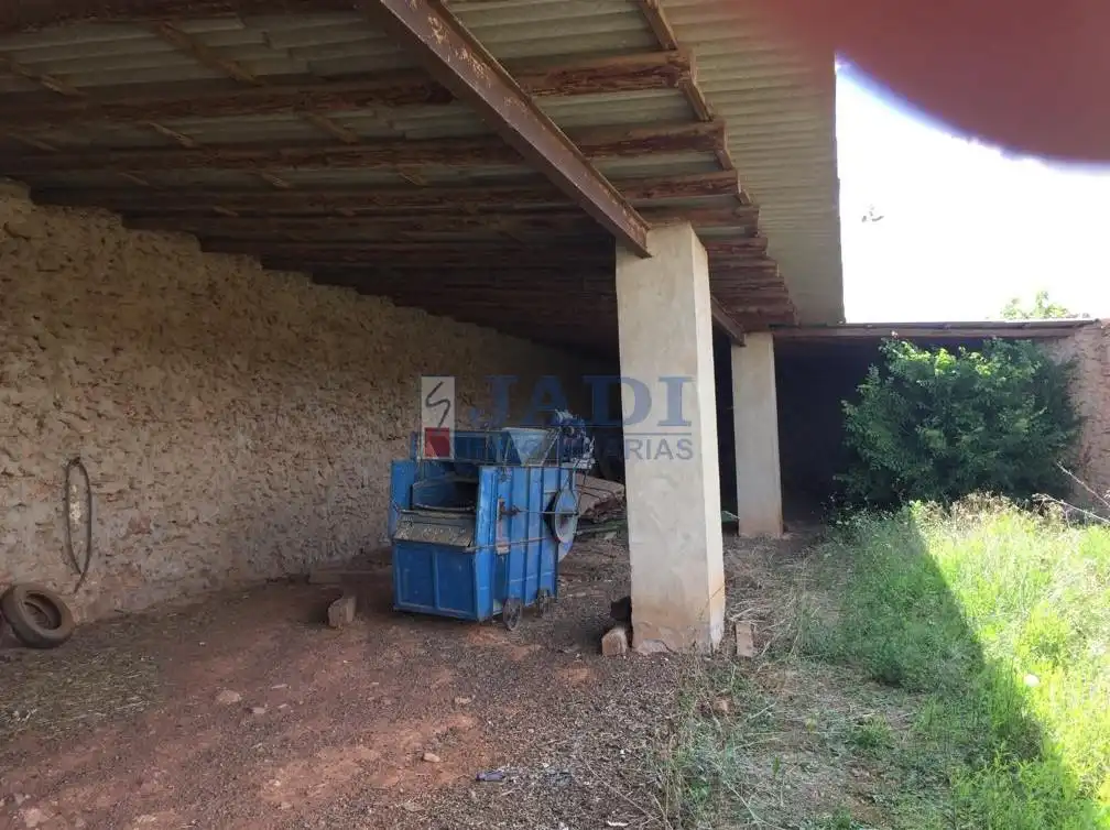 Jardín de Finca rústica en venta en Alcubillas